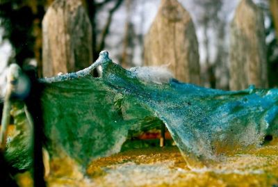 Detail aus 'Am seidenen Faden'